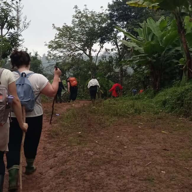 Arusha: Mount Meru Day Hike with Lunch and Transfers - Key Points  