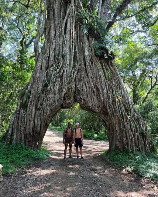 Arusha: Mount Meru Day Hike with Lunch and Transfers - Authentic Reviews & Insights  