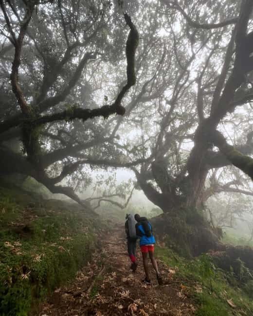 Arusha: Mount Meru Day Hike with Lunch and Transfers - The Sum Up