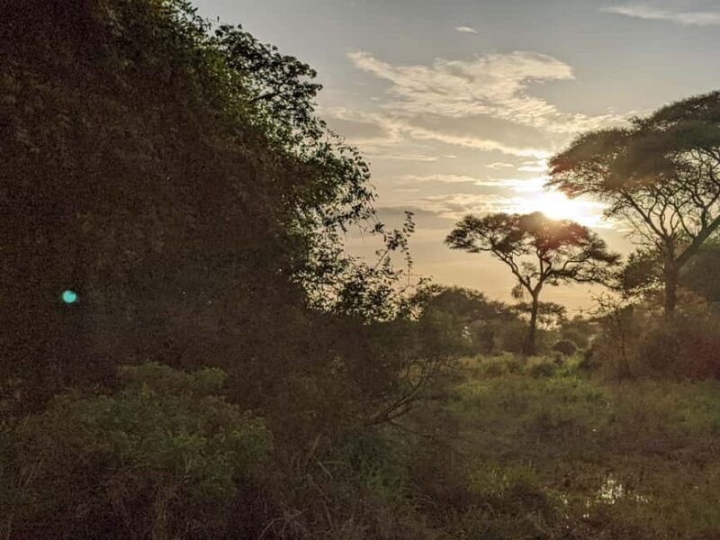 Arusha: Mount Meru Day Hike with Ranger and Lunch - Overview of the Mount Meru Day Hike Experience