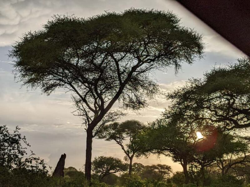 Arusha: Mto wa Mbu, Hadzabe, and Datoga Tribes Day Trip - The Sum Up: Who Should Consider This Tour?