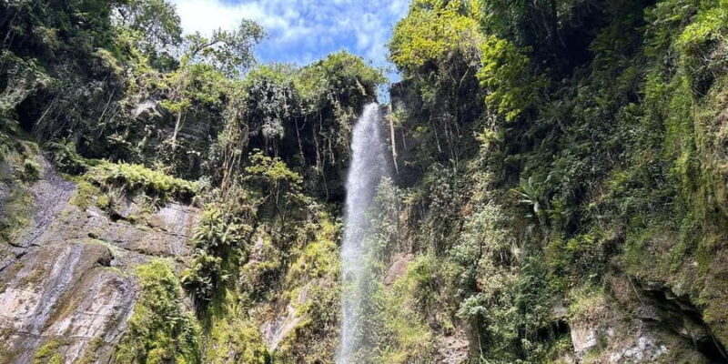 Arusha: Napuru Waterfall and Mount Meru Nature Walk - A Closer Look at the Experience