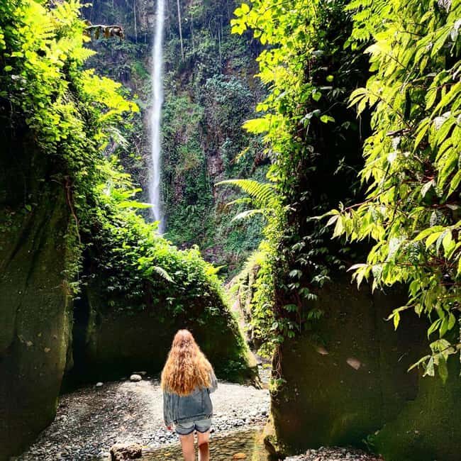 Arusha: Napuru Waterfall and Mount Meru Nature Walk - Authentic Experiences and Reviews