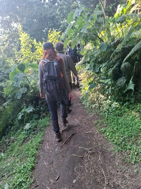 Arusha: Napuru Waterfalls Guided Hike and Village Visit - Key Points