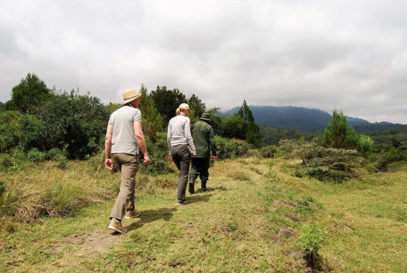 Arusha: National Park Day Trip with Walking Tour - Exploring Arusha National Park: What to Expect