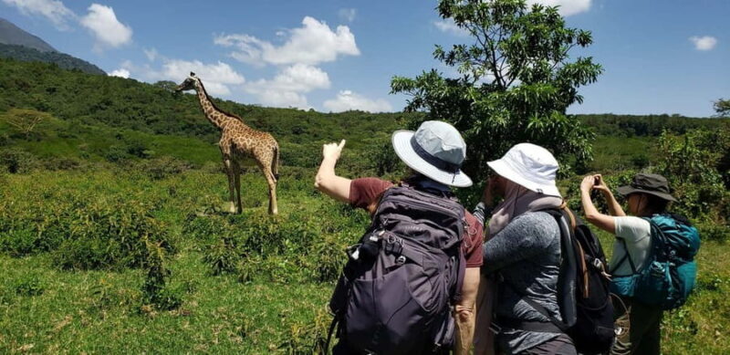 Arusha: National Park Day Trip with Walking Tour - Who This Tour Is Perfect For  
