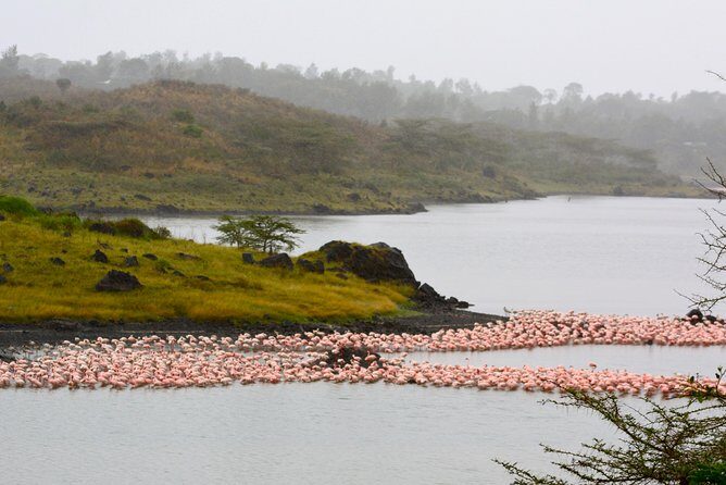 Arusha National Park Guided Day Tour from Arusha - FAQ