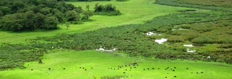 Arusha: National Park Guided Tour with Game Drive & Lunch - A Closer Look at the Itinerary