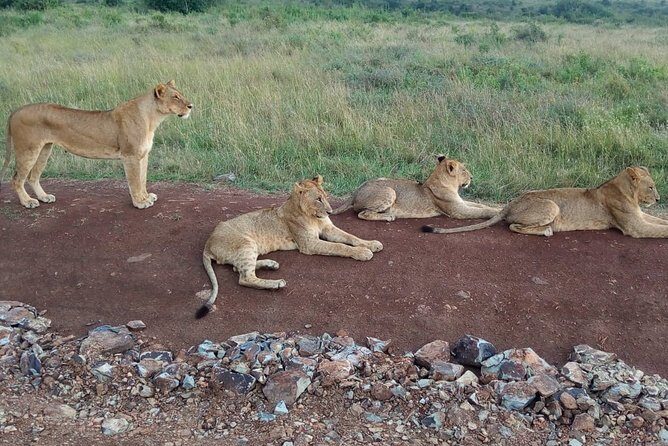 Arusha National Park Half Day Tour - An Overview of the Arusha National Park Half Day Tour
