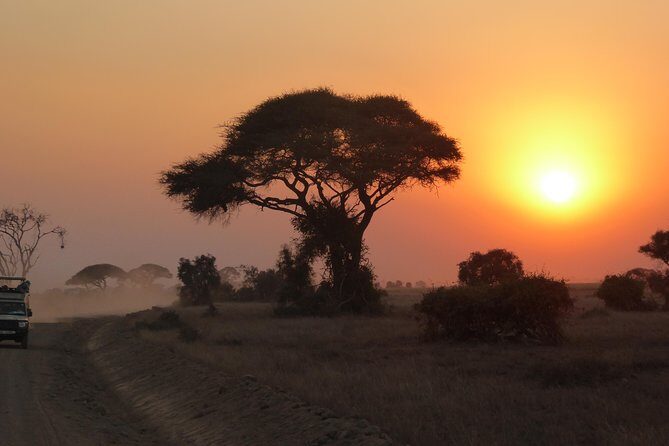 Arusha National Park Safari by Jeep - What to Expect from Your Arusha National Park Safari