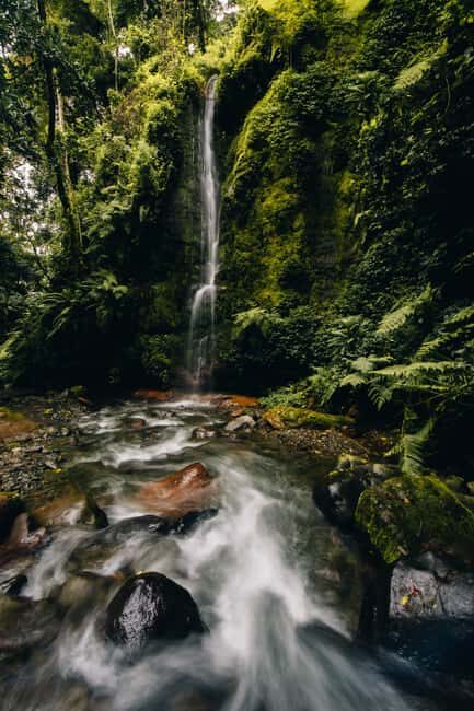 Arusha nature hike to Napuru waterfalls. - A Detailed Look at the Experience