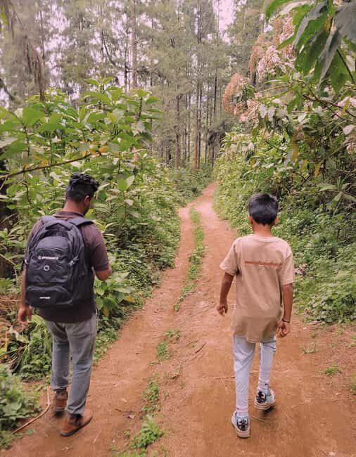 Arusha nature hike to Napuru waterfalls. - Who Will Love This Tour?