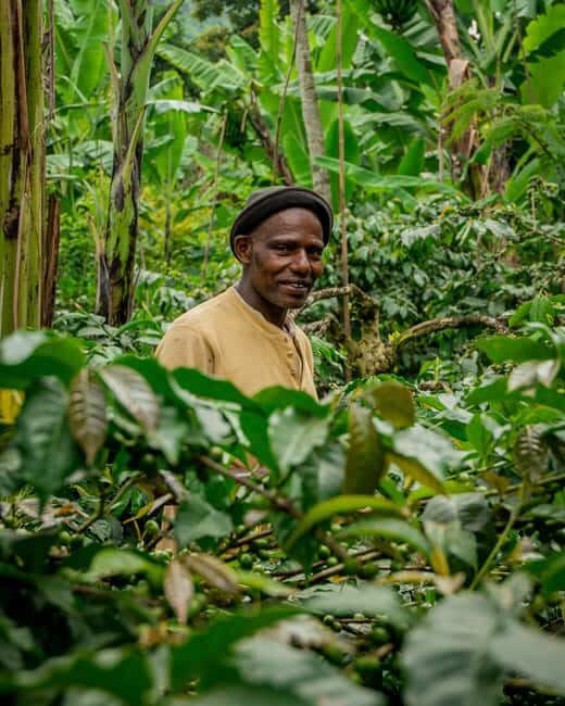 Arusha nature hike to Napuru waterfalls. - FAQs