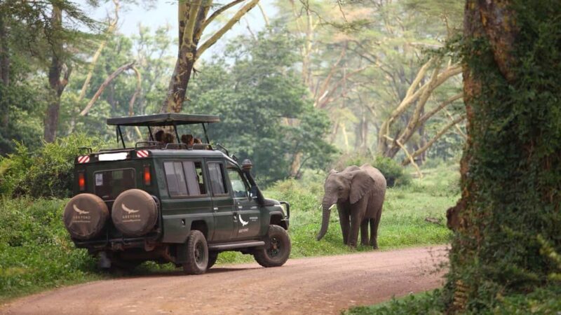 Arusha: Ngorongoro Crater Day Tour - Key Points