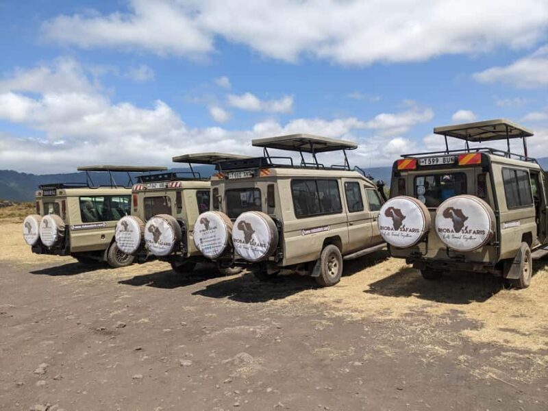 Arusha: Ngorongoro Crater Day Trip with Game Drive - Key Points