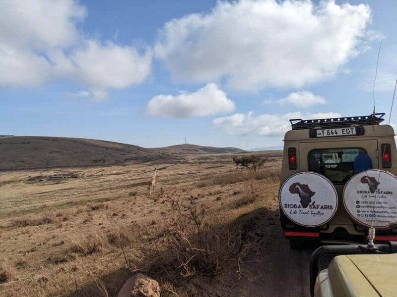 Arusha: Ngorongoro Crater Day Trip with Game Drive - Practical Tips for Your Trip