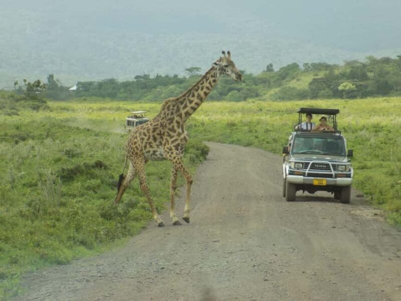 Arusha Park Memorable Safari Tour - Key Points