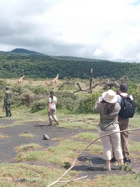 Arusha Park Memorable Safari Tour - Practical Tips for Your Safari Day