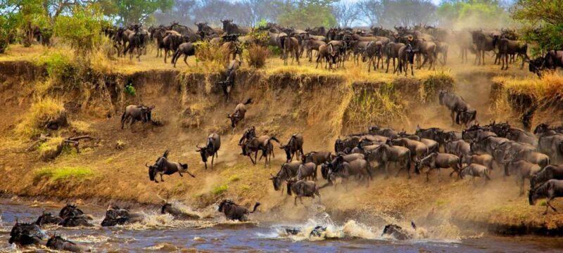 Arusha: Private 3-Day Serengeti Migration Trip - An In-Depth Look at the 3-Day Serengeti Migration Trip