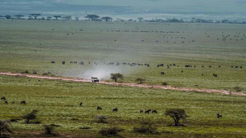 Arusha: Private 3-Day Serengeti Migration Trip - Practical Details and Traveler Tips
