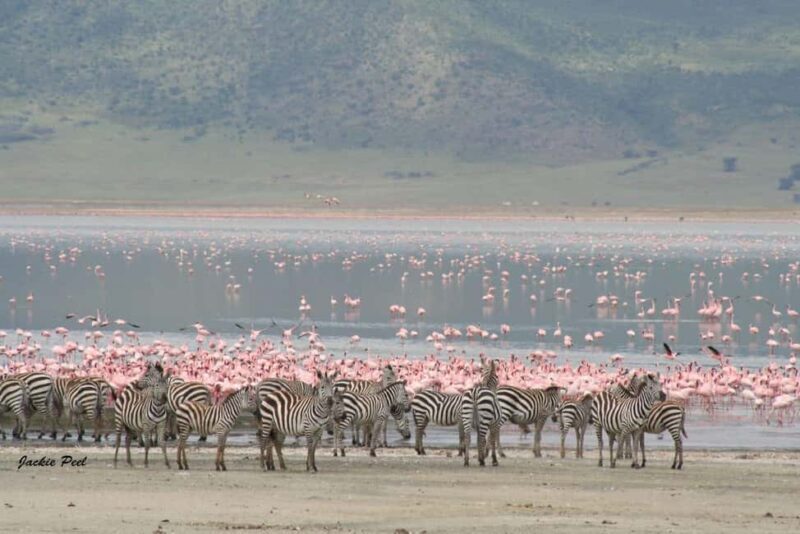 Arusha: Private 3-Day Serengeti Migration Trip - FAQ