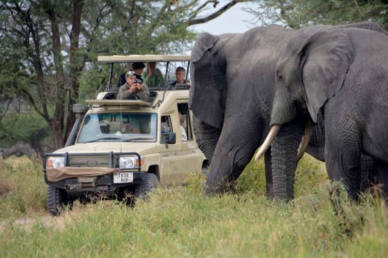Arusha: Serengeti and Ngorongoro Multi-Day Camping Safari - FAQ