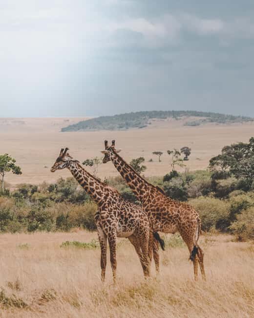 Arusha: Tarangire & Lake Manyara National Parks 2-Day Safari - Key Points