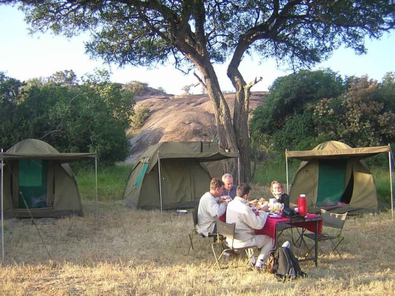 Arusha: Tarangire National Park Day Trip from Arusha - Who Would Enjoy This Tour?
