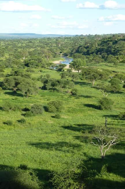 Arusha: Tarangire National Park Day Trip - Final Thoughts