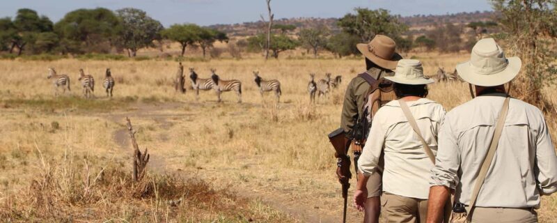 Arusha: Tarangire National Park Day Trip with Safari - Introduction to the Safari Experience