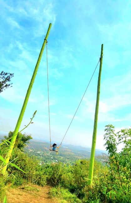 Arusha Waterfall Swim & Swing Adventure by Kingstone Asilia - Discovering the Experience: A Detailed Breakdown