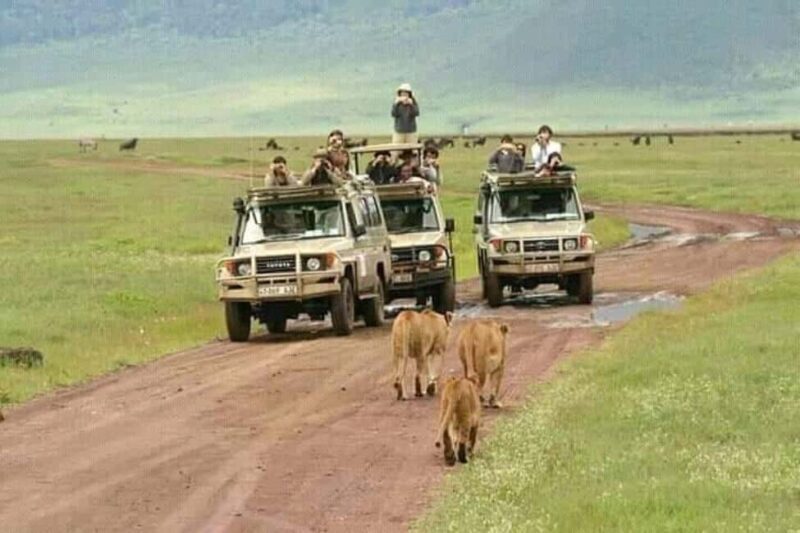 Arusha;Group Tour (The World Heritage Site)Ngorongoro Crater - Practical Considerations and Tips