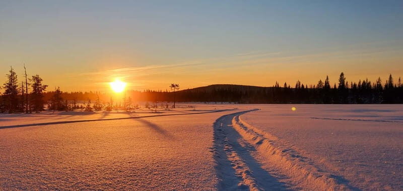 Arvidsjaur: 4h individual snowmobile tour in Swedish Lapland - Key Points