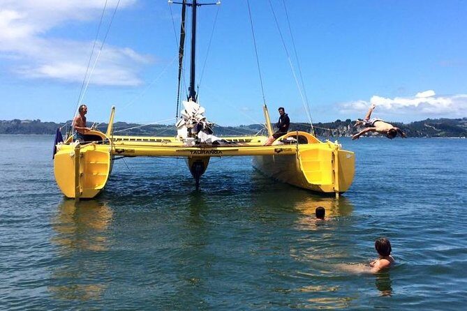 Arvo of goodness Chilled out Sail (3.5hrs) - The Value for Money