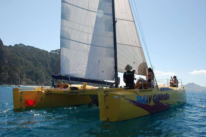 Arvo of goodness Chilled out Sail (3.5hrs) - Who Is This Tour Best For?