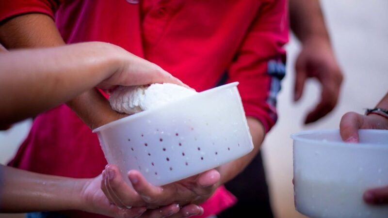 arzana-day-with-a-shepherd-w-lunch-in-a-farm