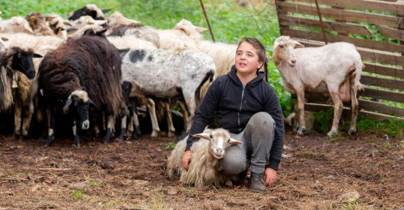 arzana-day-with-a-shepherd-w-lunch-in-a-farm