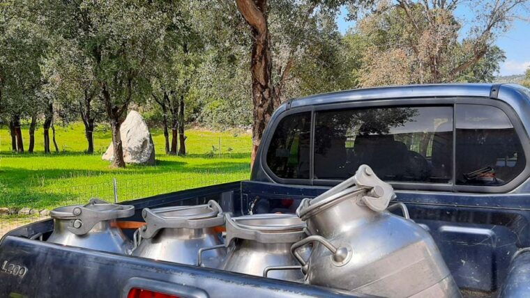 arzana-day-with-a-shepherd-w-lunch-in-a-farm