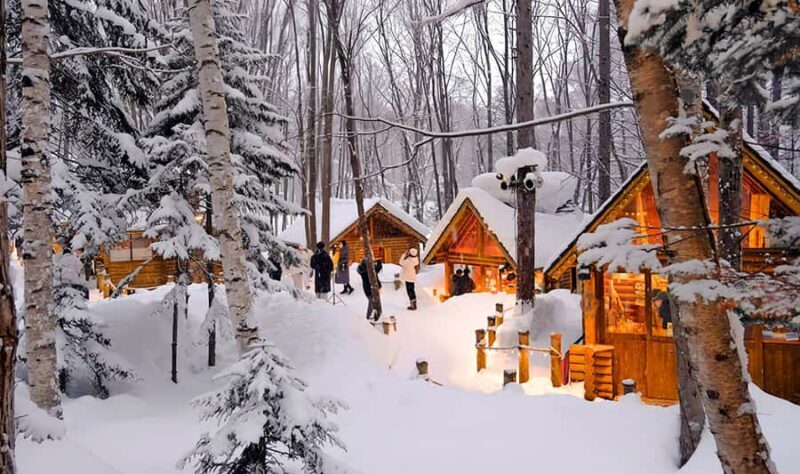 Asahiyama Adventure: Zoo+Waterfalls & Blue Pond Day Tour - Why This Tour Offers Great Value