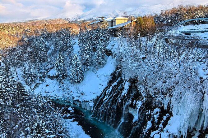 Asahiyama Zoo, Christmas Tree, Fairy Terrace Day Tour | Hokkaido - Key Points