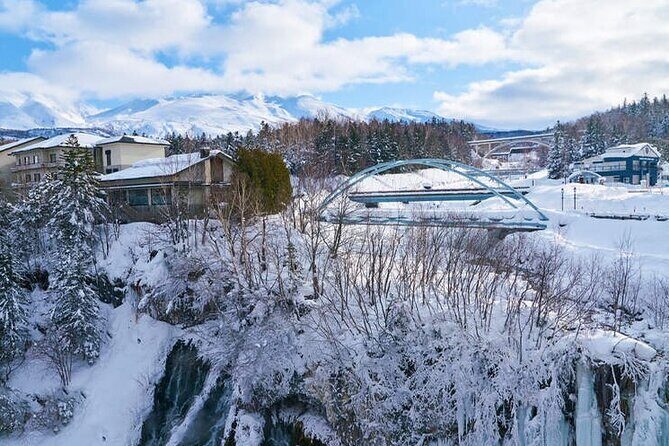 Asahiyama Zoo, Christmas Tree, Fairy Terrace Day Tour | Hokkaido - Authentic Experiences from Reviewers