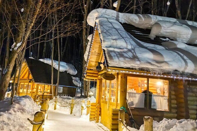 Asahiyama Zoo, Christmas Tree, Fairy Terrace Day Tour | Hokkaido - Final Thoughts