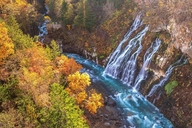 Asahiyama Zoo, Shirahige Falls, Biei, and Blue Pond Day Tour - Frequently Asked Questions