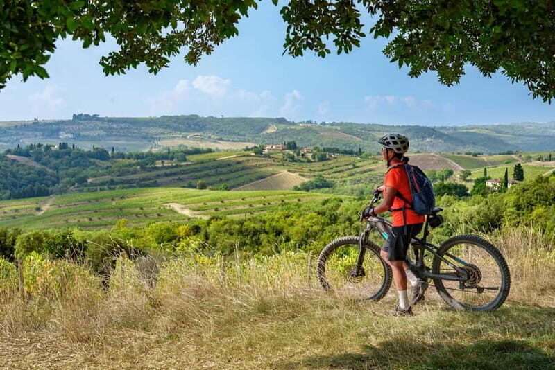 Asciano & Crete Senesi E-BIKE Tour + Pick-up&Drop-off by Van - Discovering Tuscany by E-Bike: An In-Depth Look