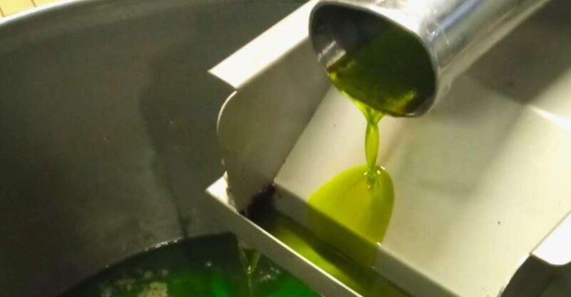 ascoli-piceno-olive-oil-tasting-with-local-products