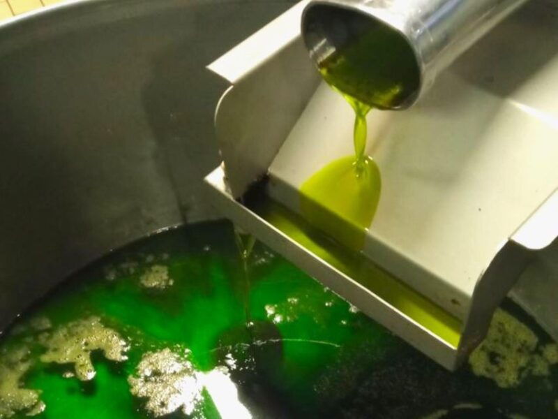 ascoli-piceno-olive-oil-tasting-with-local-products