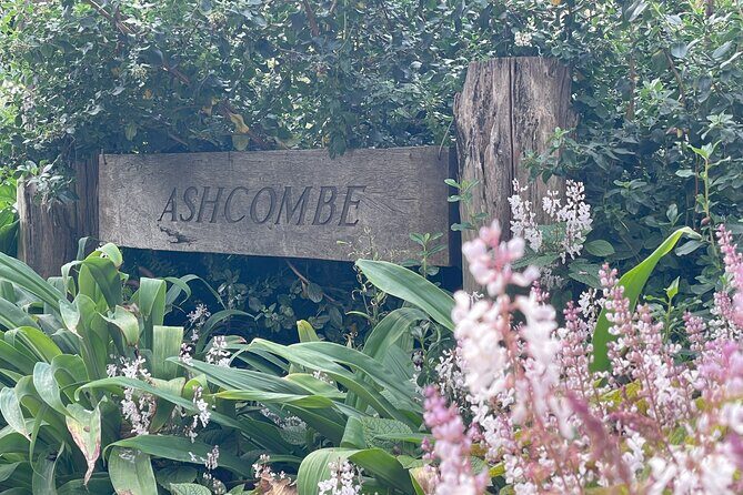 Ashcombe Maze & Lavender Gardens - What’s Included and What to Expect