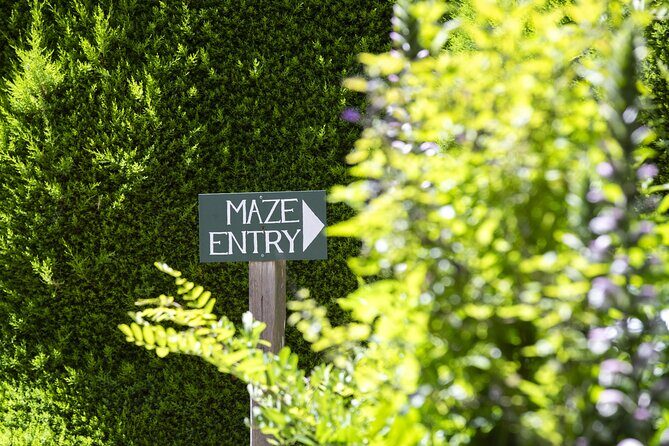 Ashcombe Maze & Lavender Gardens - Comparing to Similar Experiences