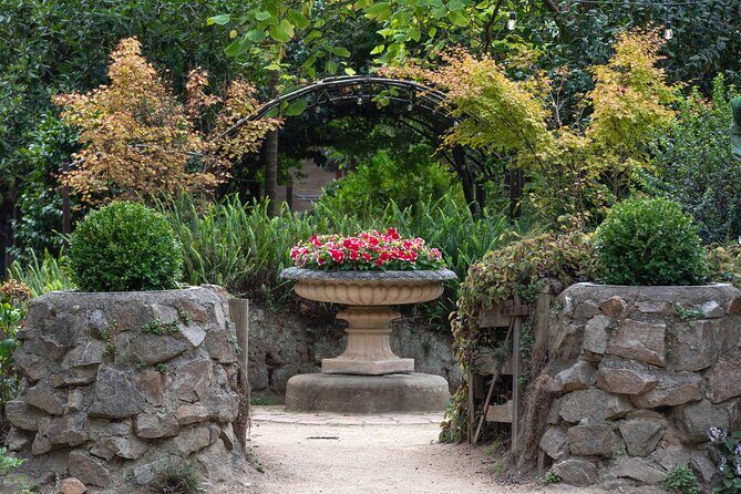 Ashcombe Maze & Lavender Gardens - Who Will Love This Tour?