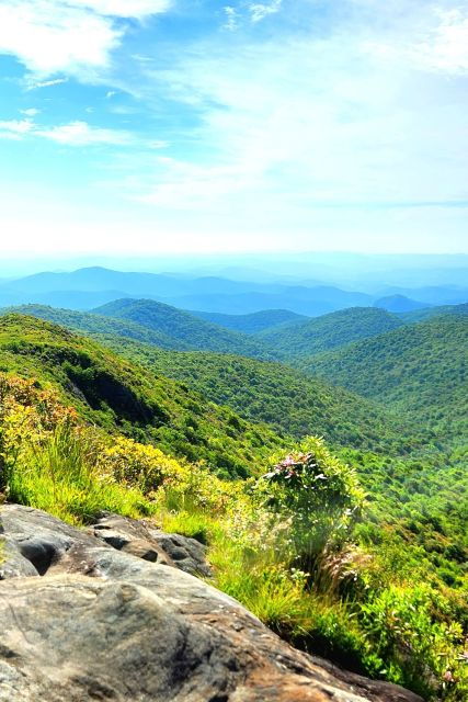 asheville-blue-ridge-mountains-tour-for-children